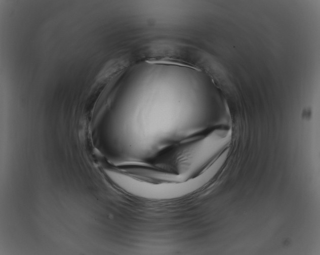 X0000091950333200710041012