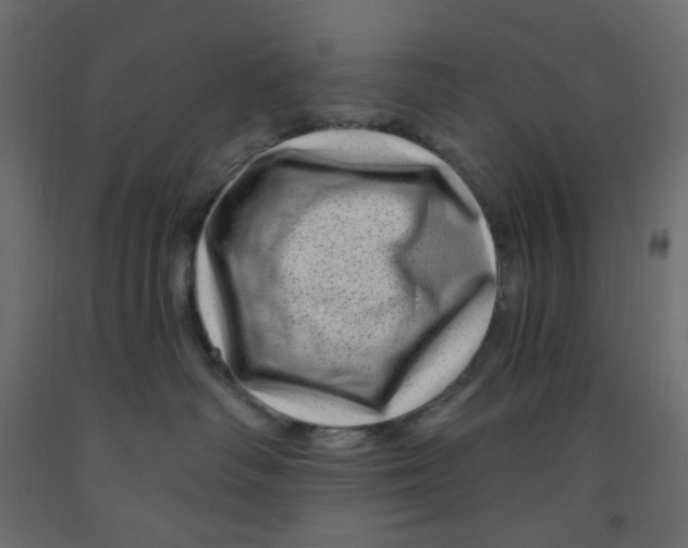 X0000091950334200710041012