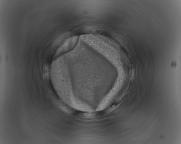 X0000091950335200710041012