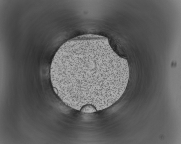 X0000091950336200710041012