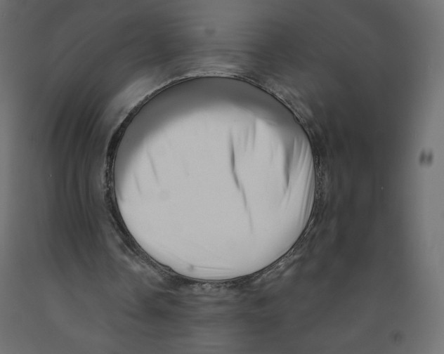 X0000091950338200710041012