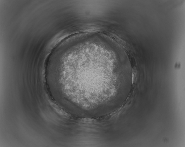 X0000091950339200710041012