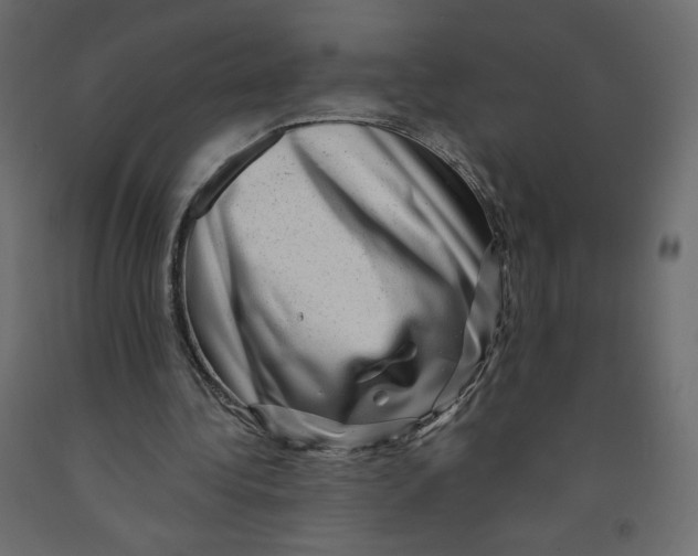 X0000091950340200710041012
