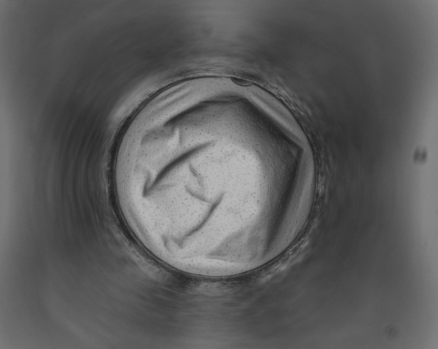 X0000091950341200710041012