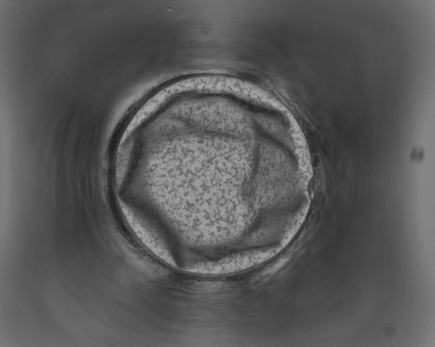 X0000091950342200710041012