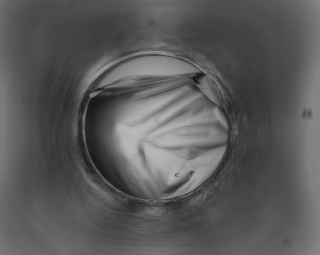 X0000091950344200710041012