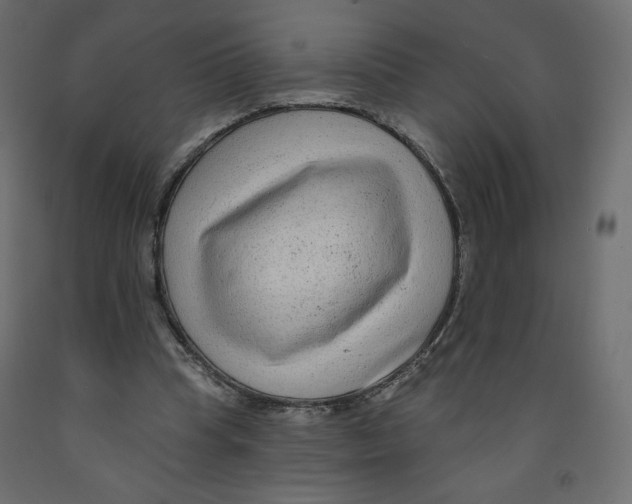 X0000091950345200710041012