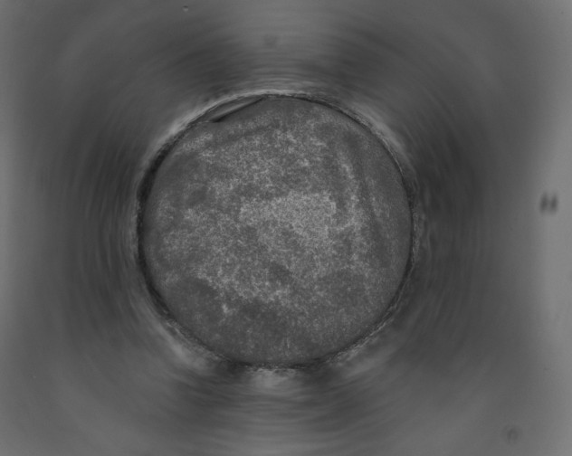 X0000091950346200710041012