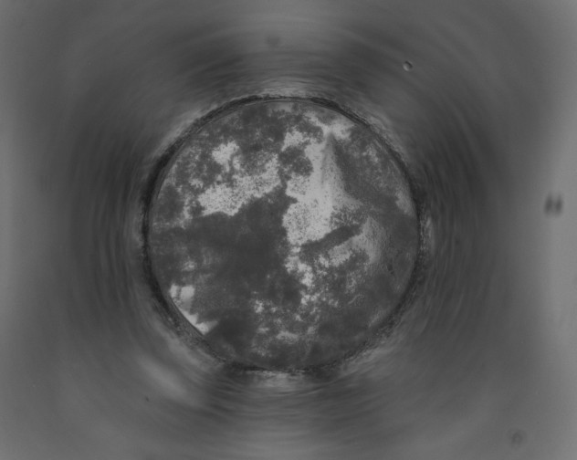 X0000091950347200710041012