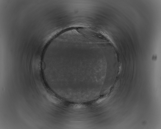X0000091950348200710041012