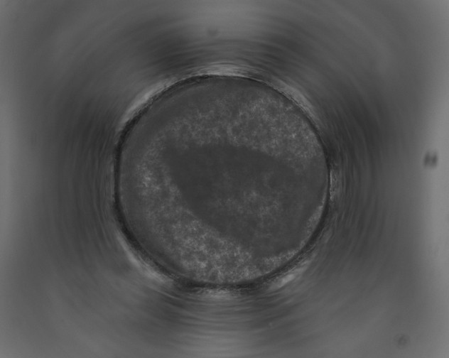 X0000091950349200710041012