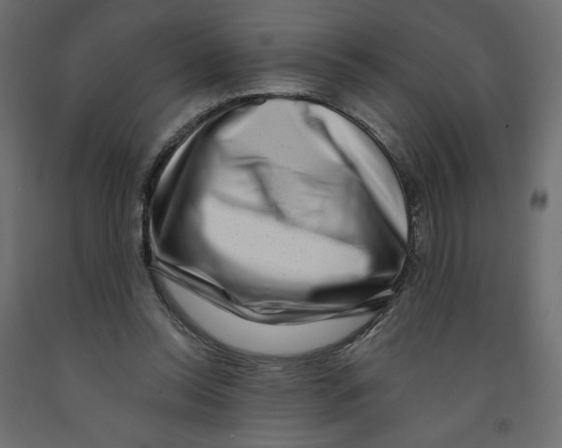 X0000091950350200710041012