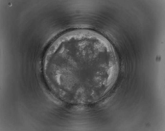X0000091950351200710041012