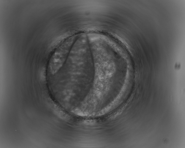 X0000091950353200710041012