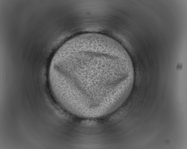 X0000091950354200710041012