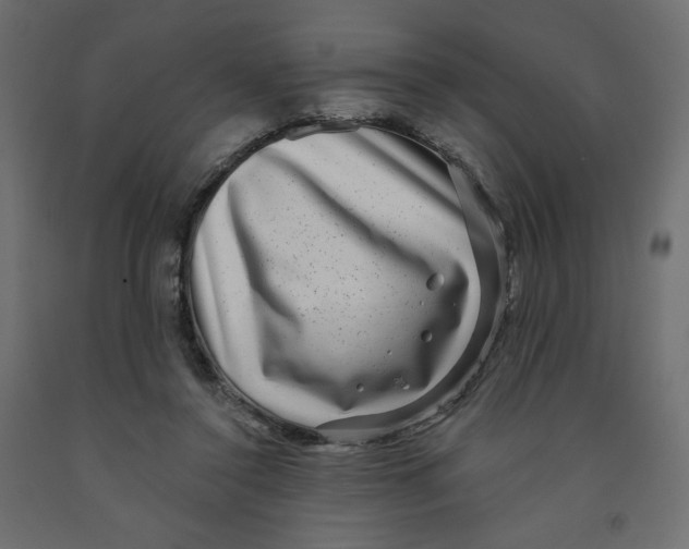 X0000091950356200710041012