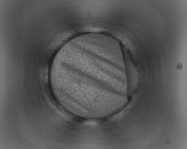 X0000091950358200710041012