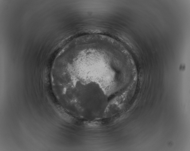 X0000091950359200710041012