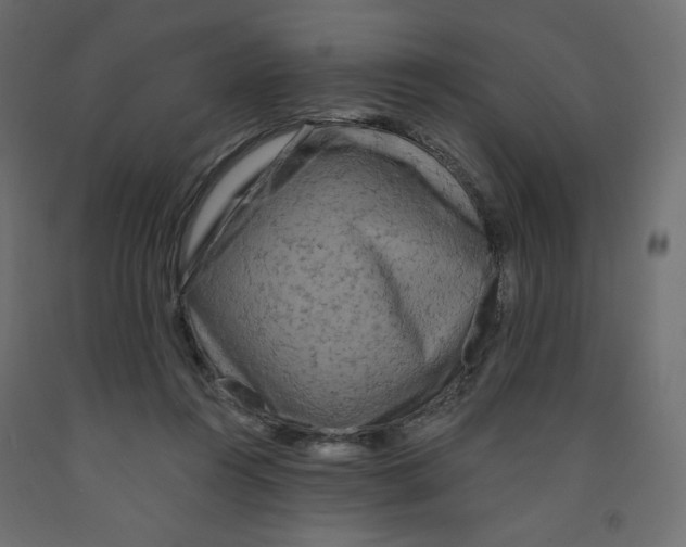 X0000091950360200710041012