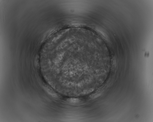 X0000091950361200710041012