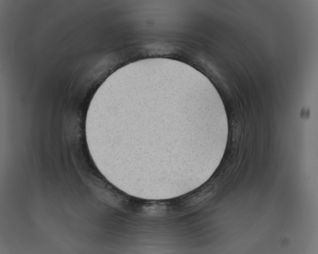 X0000091950362200710041012