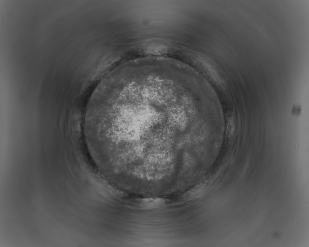 X0000091950363200710041012