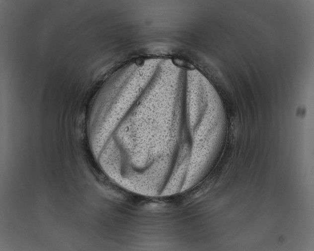X0000091950364200710041012