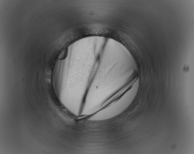 X0000091950368200710041012