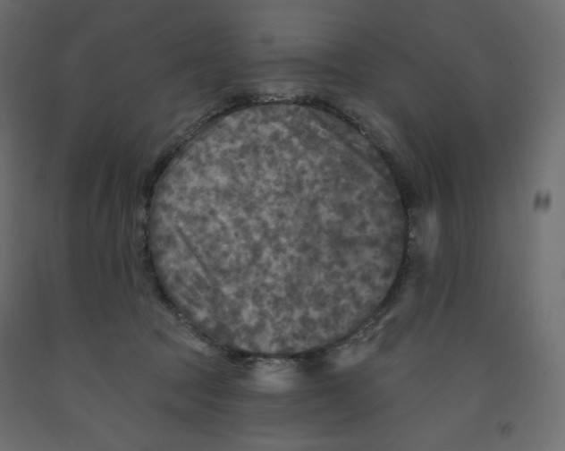 X0000091950369200710041012