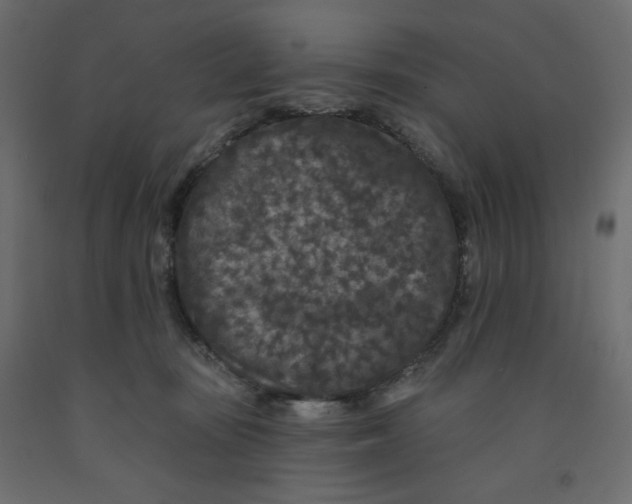 X0000091950371200710041012