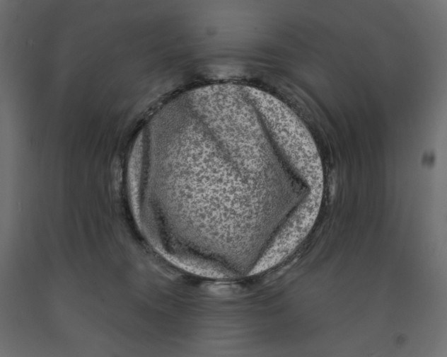 X0000091950372200710041012