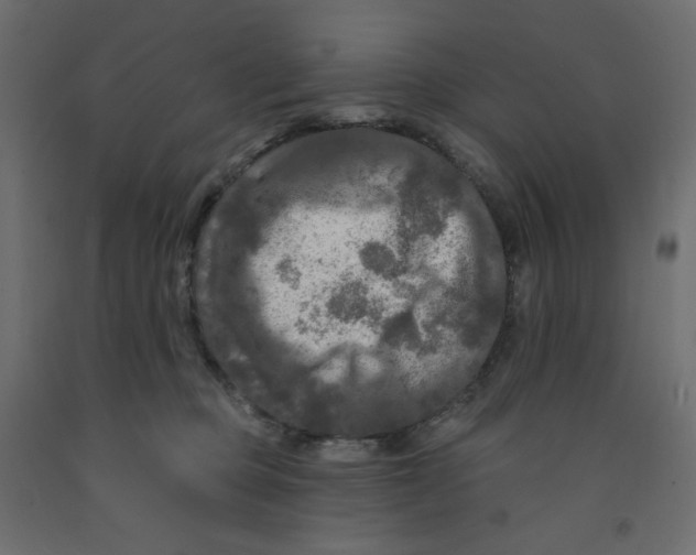 X0000091950373200710041012