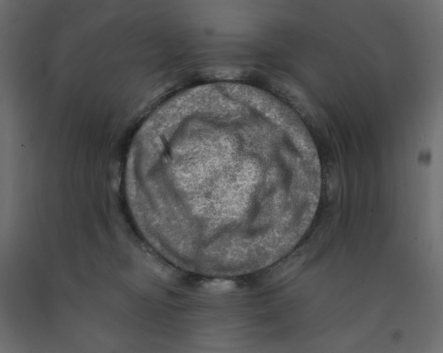 X0000091950374200710041012