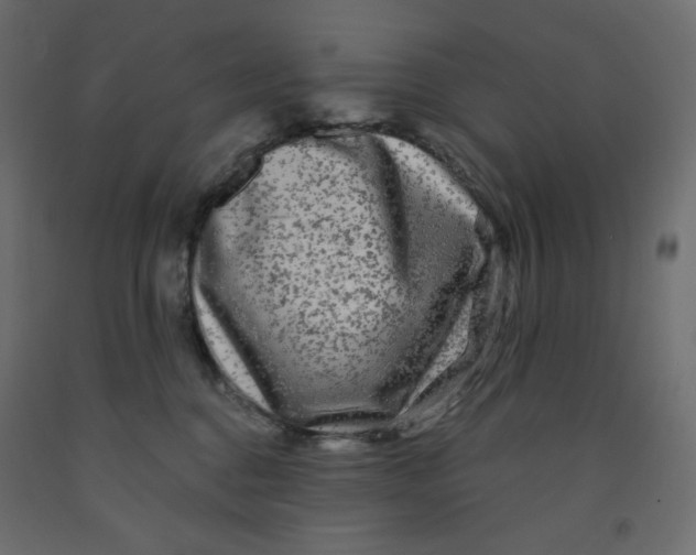 X0000091950376200710041012