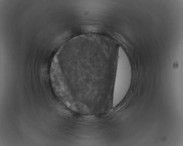 X0000091950377200710041012