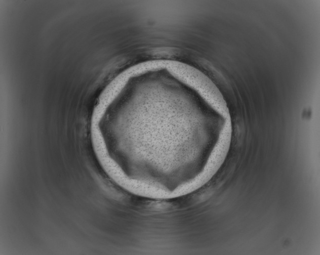 X0000091950379200710041012