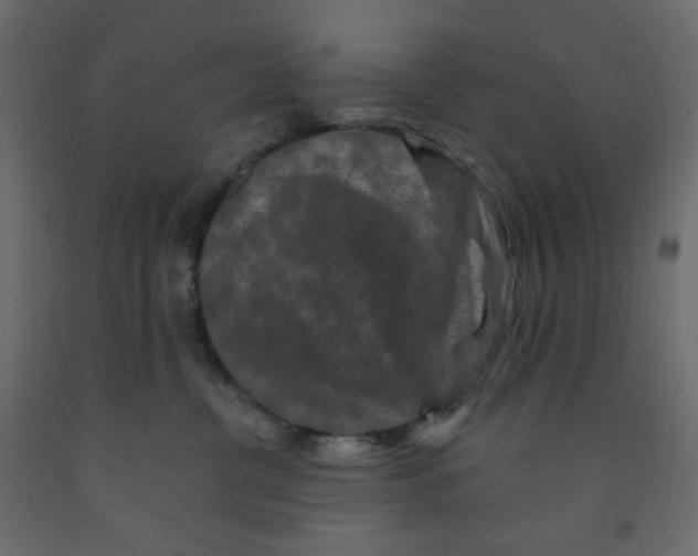 X0000091950380200710041012