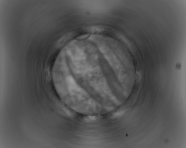 X0000091950381200710041012