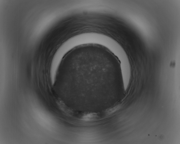 X0000091950382200710041012