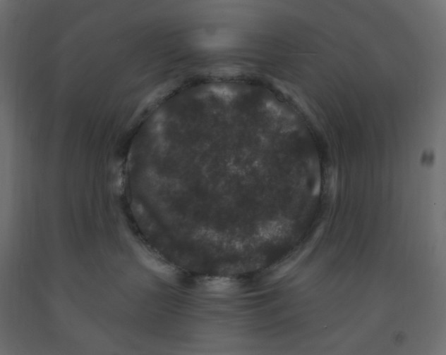 X0000091950383200710041012