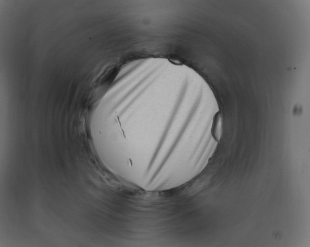 X0000091950384200710041012