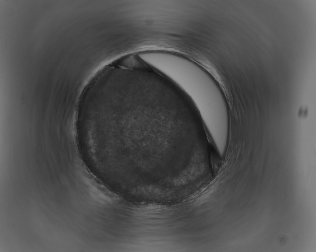 X0000091950387200710041012