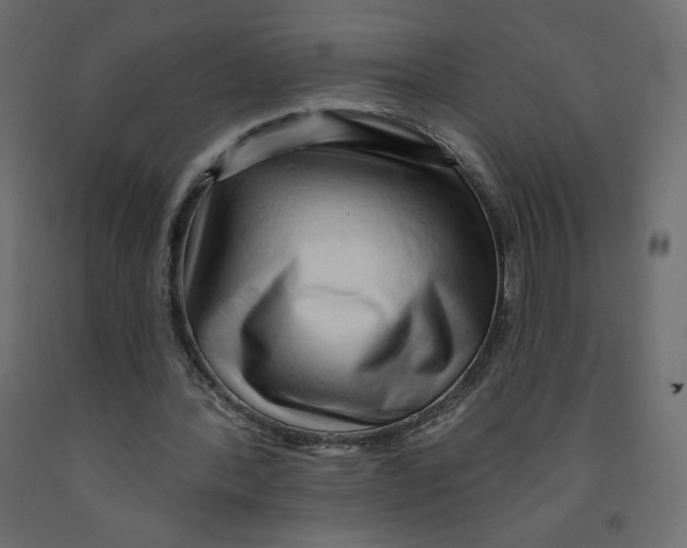 X0000091950388200710041012
