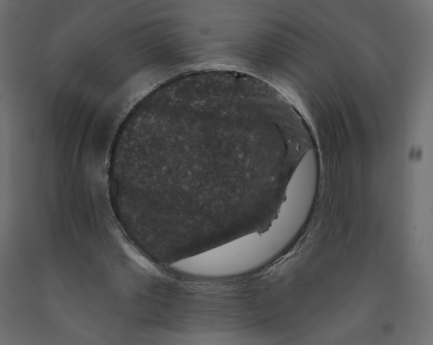 X0000091950389200710041012