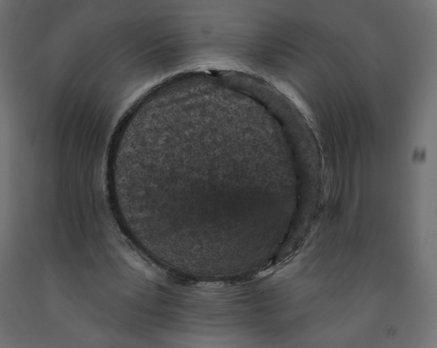 X0000091950391200710041012