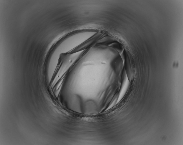 X0000091950392200710041012