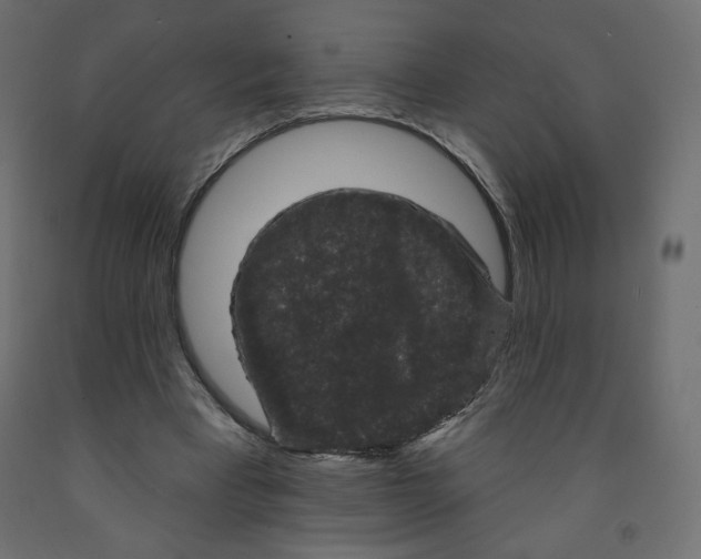 X0000091950393200710041012