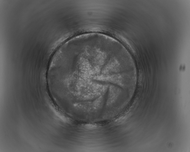 X0000091950394200710041012