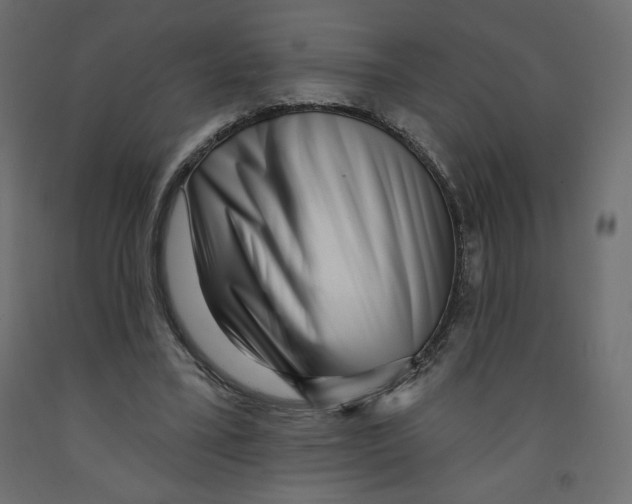X0000091950395200710041012