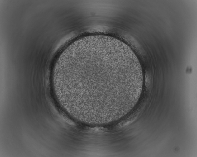 X0000091950396200710041012
